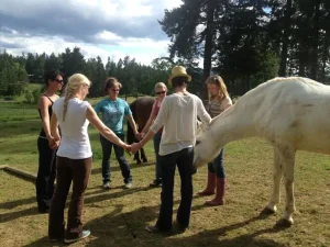 1MXsi146v4sNIuOlnFx1gmvdbLV6 lCa