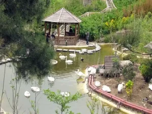 همه چیز درباره باغ پرندگان تهران؛ از گونه های کمیاب تا امکانات تفریحی تصویر 3