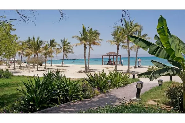 12qh2ST9DuDQ6V99kuqflE7IWnuqvzOr