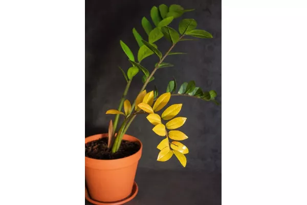 10873cabb95621f546836090a2a08433