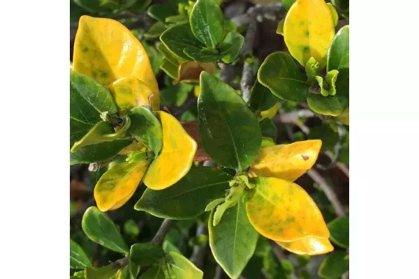 4c0af8aadfbd01f9672e852e18f2cb14