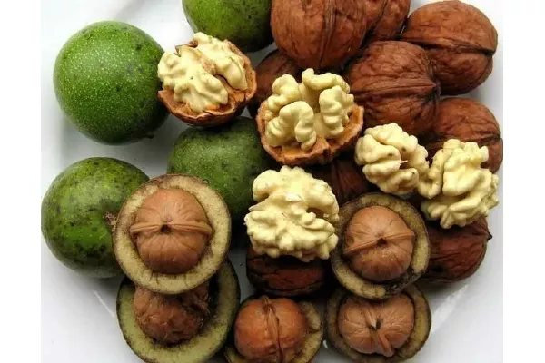 5d5e24e0f57447122da4ebeeaf8131ea