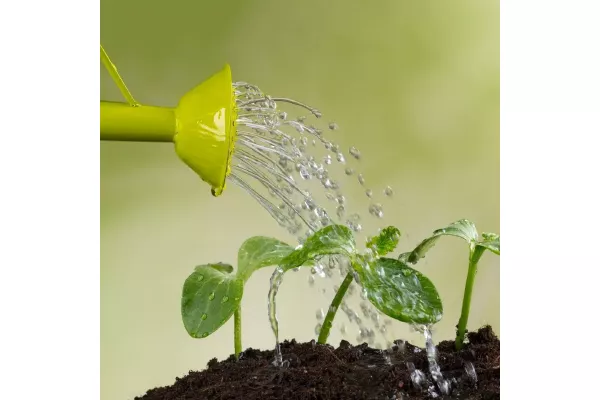 076d0f37629ac515cf0fa54738b95b38