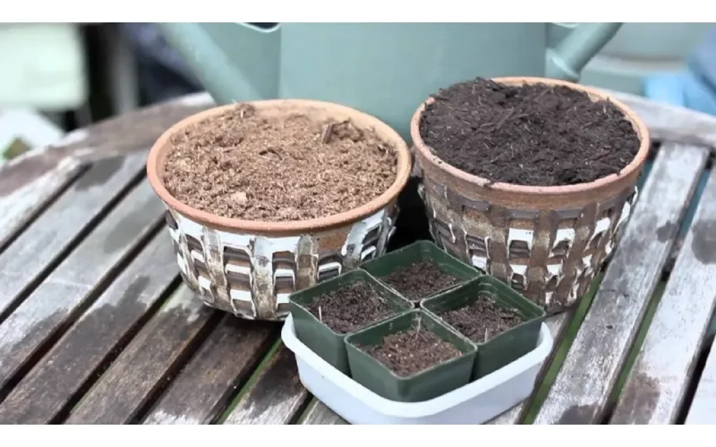 1ob3xqVSStnICJ1n_8fSvCVvlBY7_3WQ